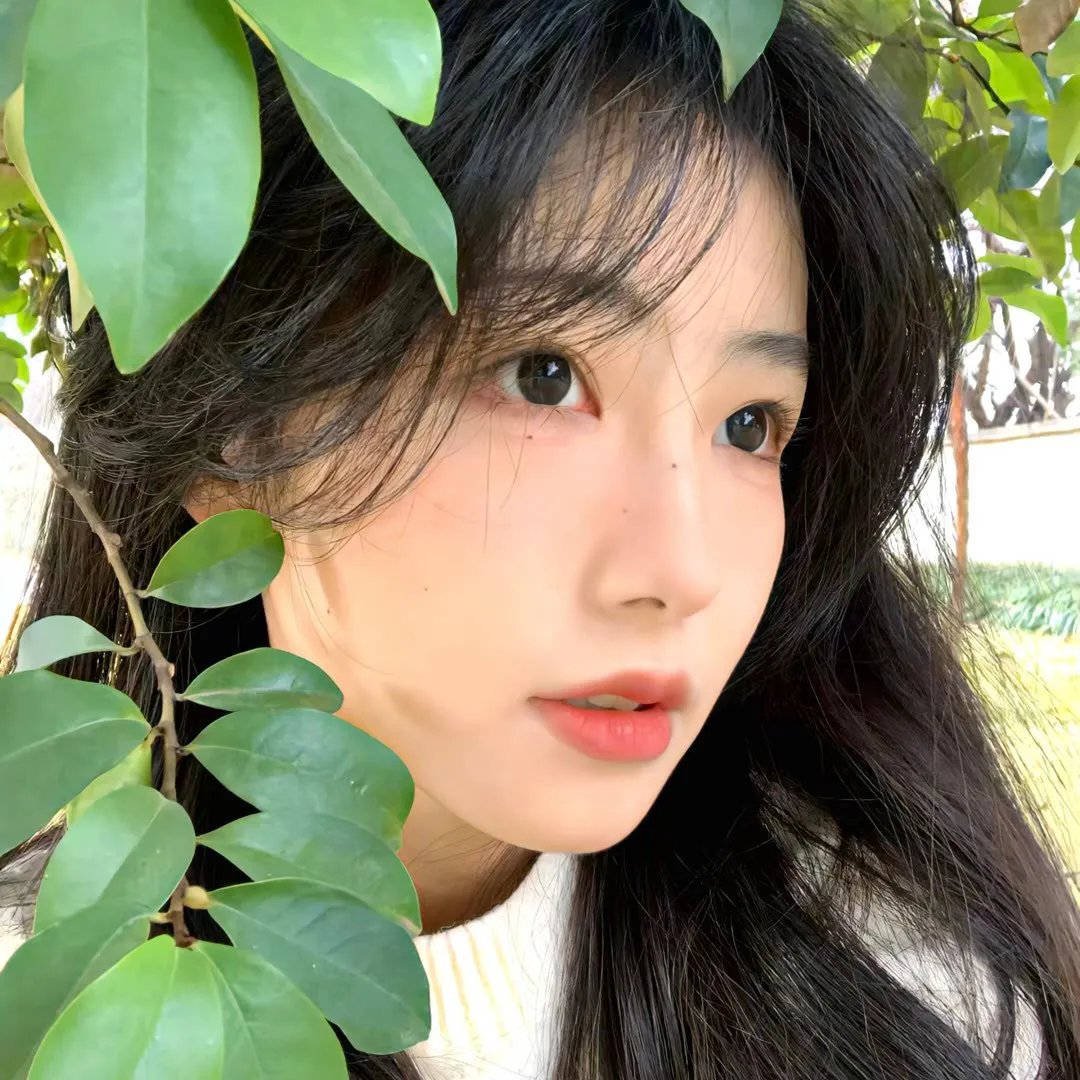 爱你是最美的时光
